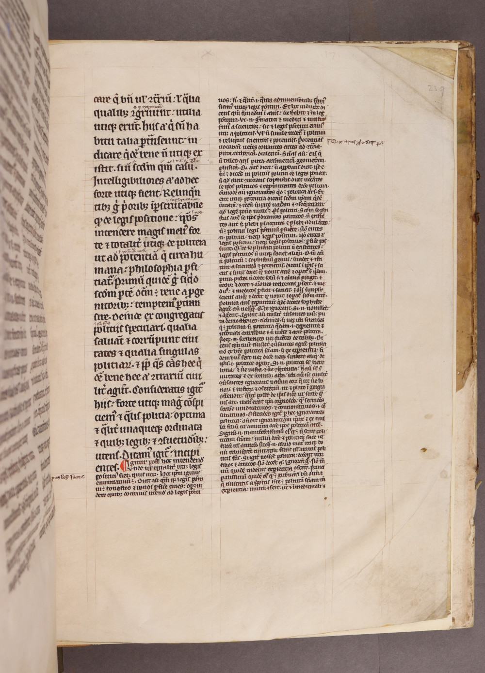 Folio 239 recto